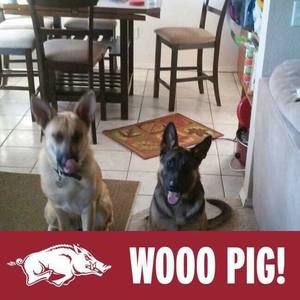 Meet your Posher, Brent